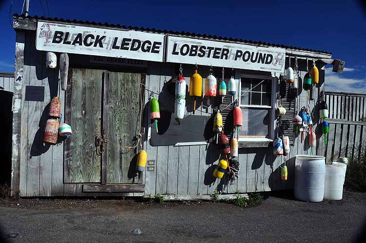 lobster pound